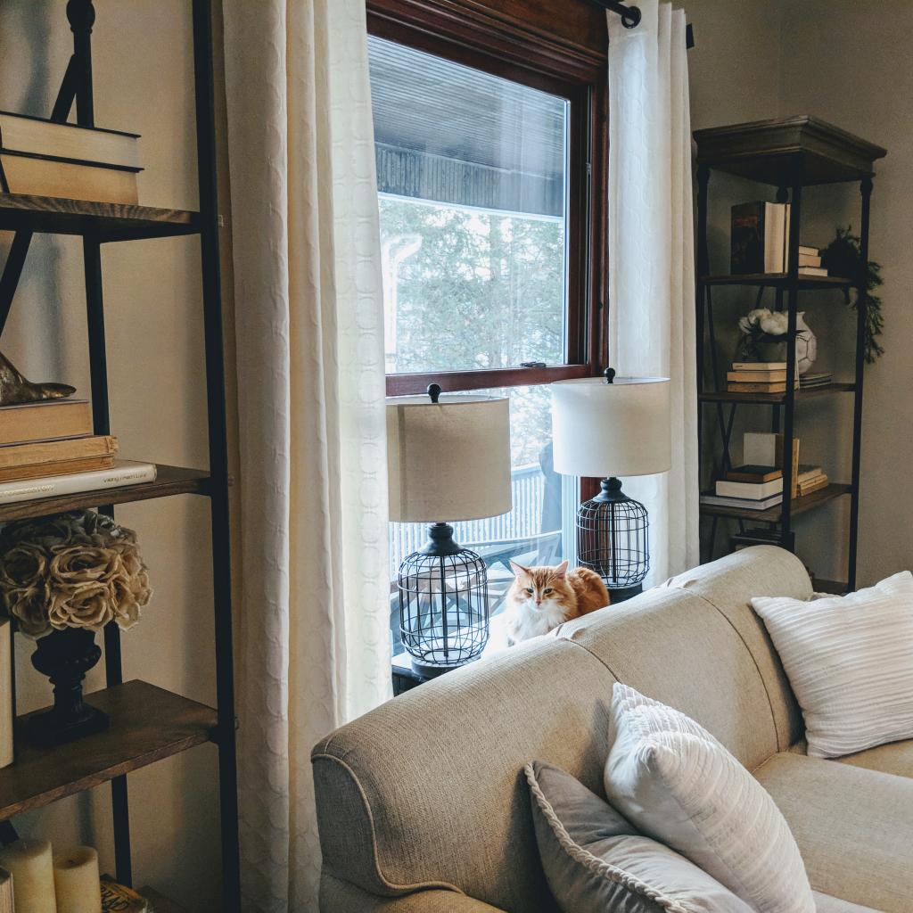 how to style a bookshelf like a pro neutral living room