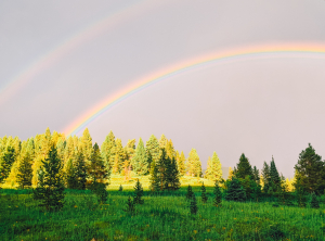 double rainbow